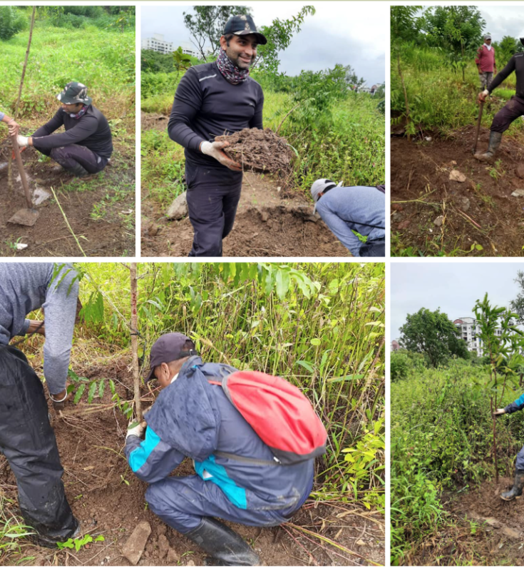 Rescuing Natures Guardians: Anandvans Efforts to Restore Trees Amidst Rainy Challenges